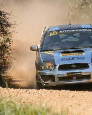 our rally cars big