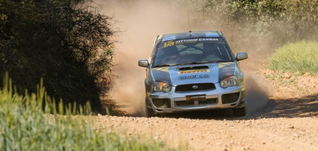 our rally cars big