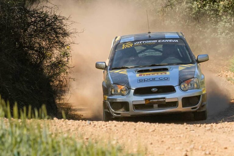 our-rally-cars-big our rally cars big